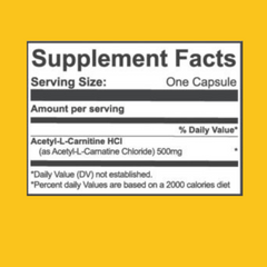 ACETYL-L CARNITINE 60 SERV 500 GMS RAW NUTRITION