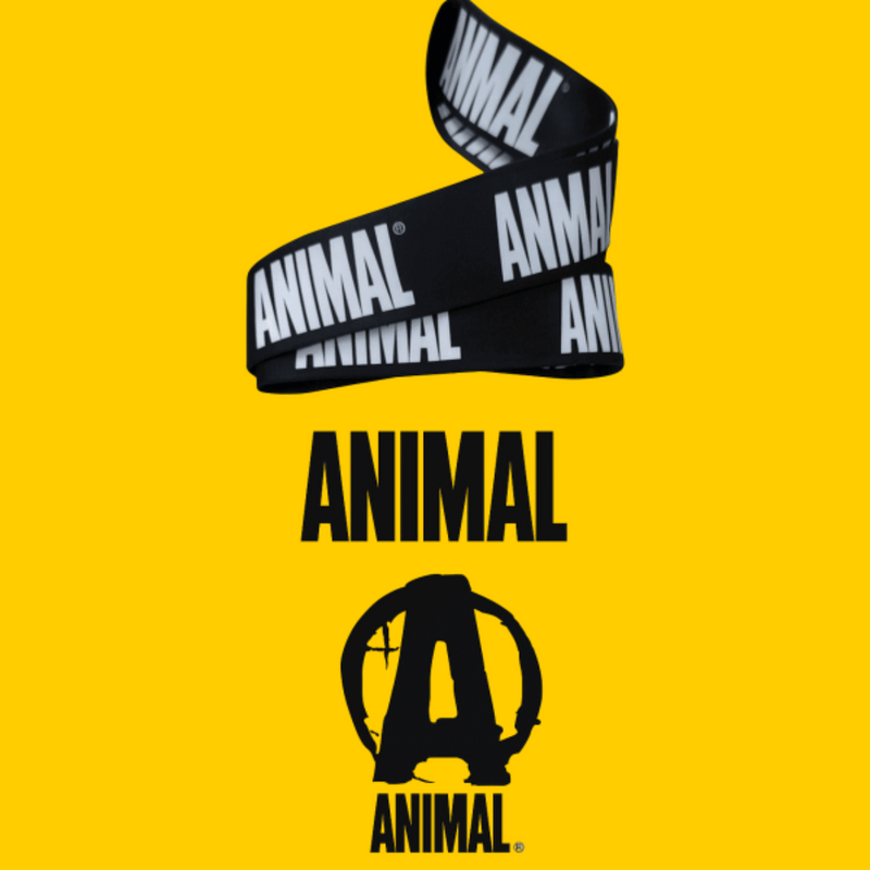 PORTA GAFETE TRANSPARENTE ANIMAL UNIVERSAL NUTRITION