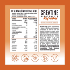 CREATINA ELECTROLYTE REFRESHER 300 GMS BIRDMAN