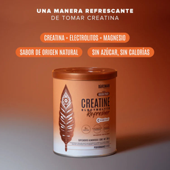 CREATINA ELECTROLYTE REFRESHER 300 GMS BIRDMAN