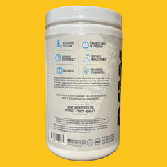 CREATINE MONOHYDRATE 100 SERV 500 GMS RAW NUTRITION