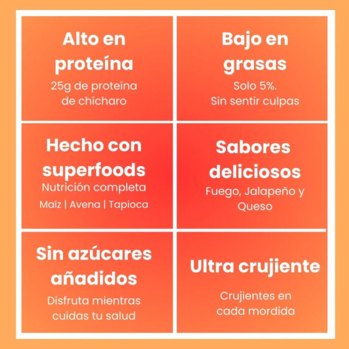 6 PACK SNACK HORNEADO DE PROTEINA 100 GMS MUCHA PROTEINA