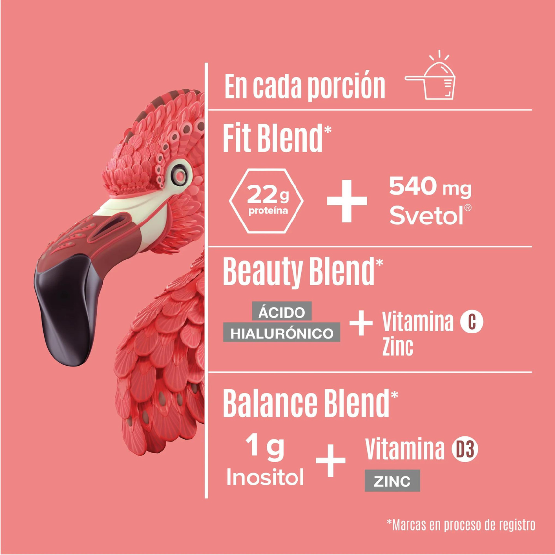 FITMINGO PROTEINA VEGETAL 1.02 KG BIRDMAN