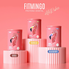 FITMINGO PROTEINA VEGETAL 510 GMS BIRDMAN