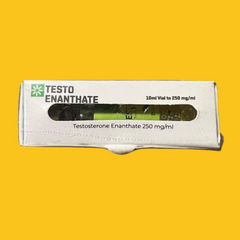 TESTO ENANTATE 250MG/10ML SMART NOVA PHARMACEUTICAL