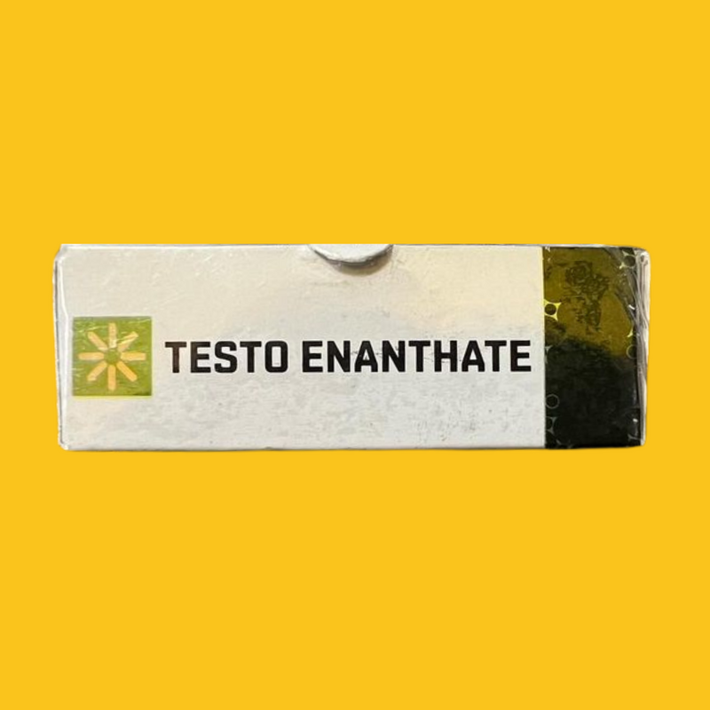 TESTO ENANTATE 250MG/10ML SMART NOVA PHARMACEUTICAL